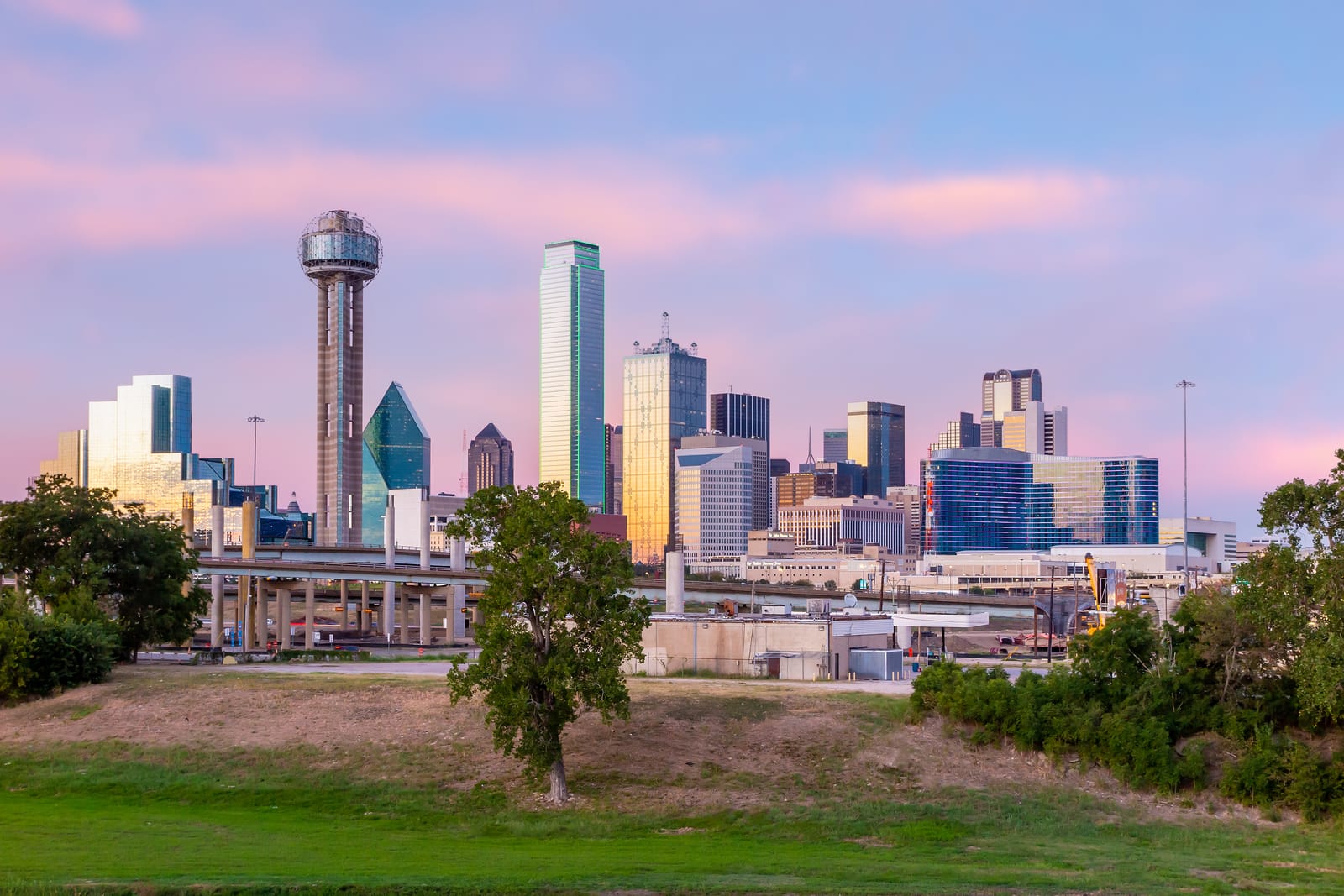 Reunion Tower and the downtown Dallas skyline at sunset, seen across a grassy hill with a lone tree